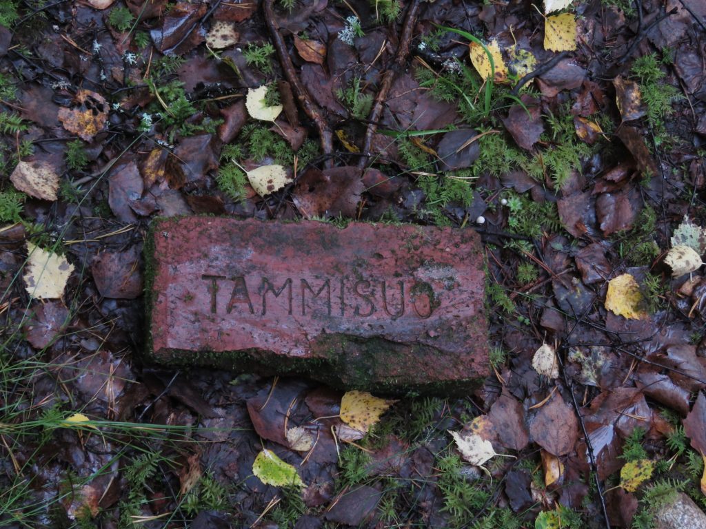 Tammisuolla oli ennen sotia suuri tiilitehdas, jonka tuotteita löytyi em. BT-42 :n tuliaseman läheltä keskeltä metsää.